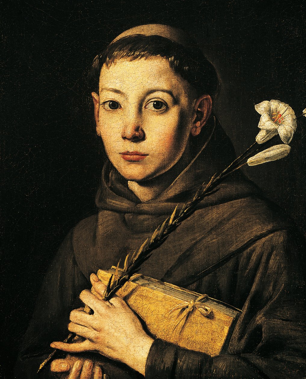 Svatý Antonín Paduánský, od Antonia d