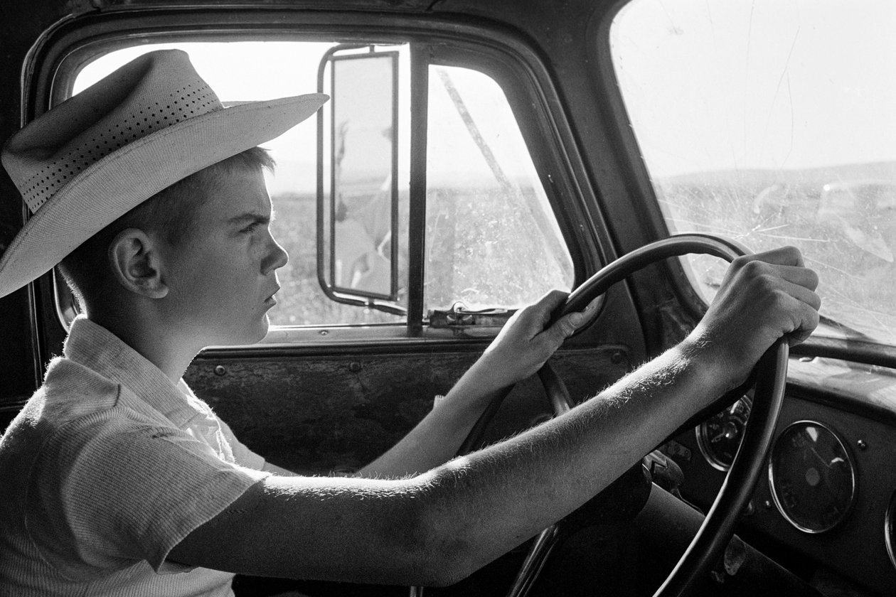 Rodinný farmář Ed Ker na ranči A.M. Ker je zemědělský hospodář, který pěstuje vojtěšku... od Ted Spiegel