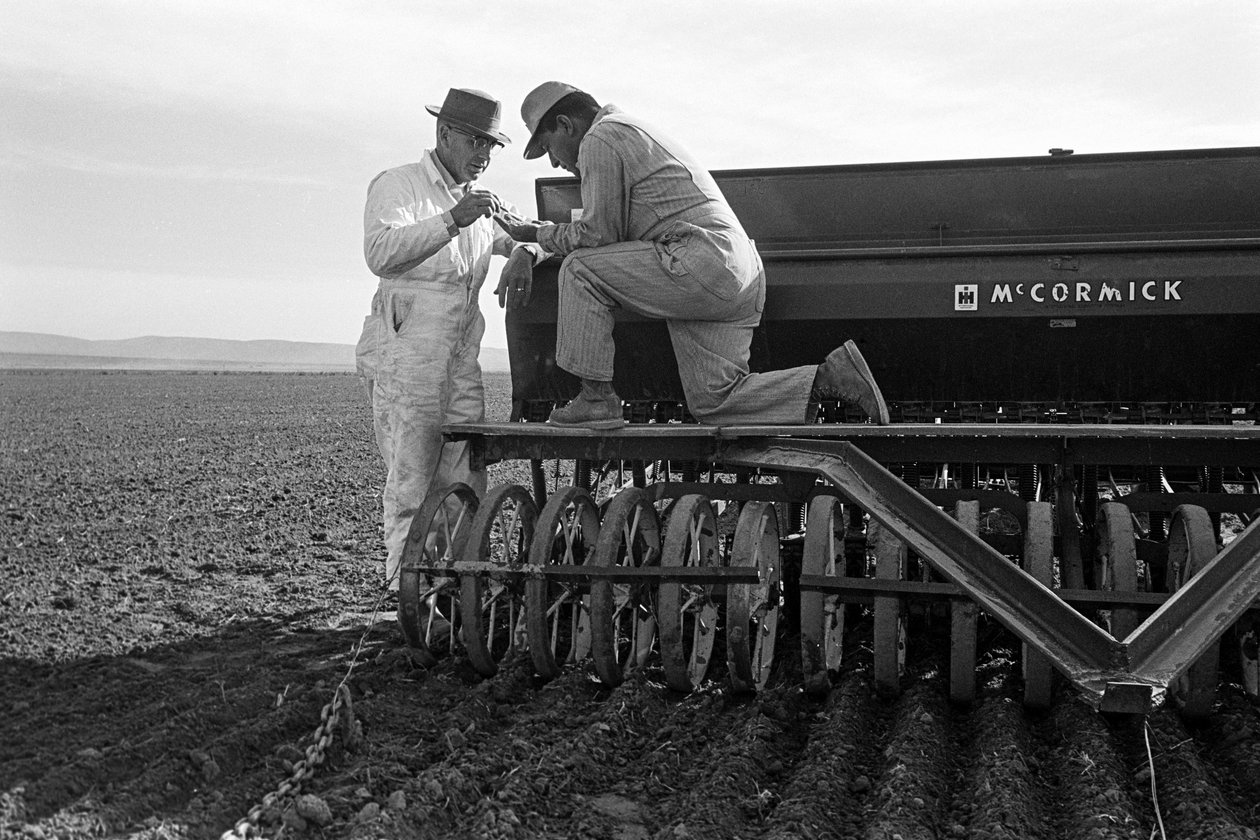 Rodinný farmář Ed Ker na ranči A.M. Ker je zemědělský hospodář, který pěstuje vojtěšku... od Ted Spiegel