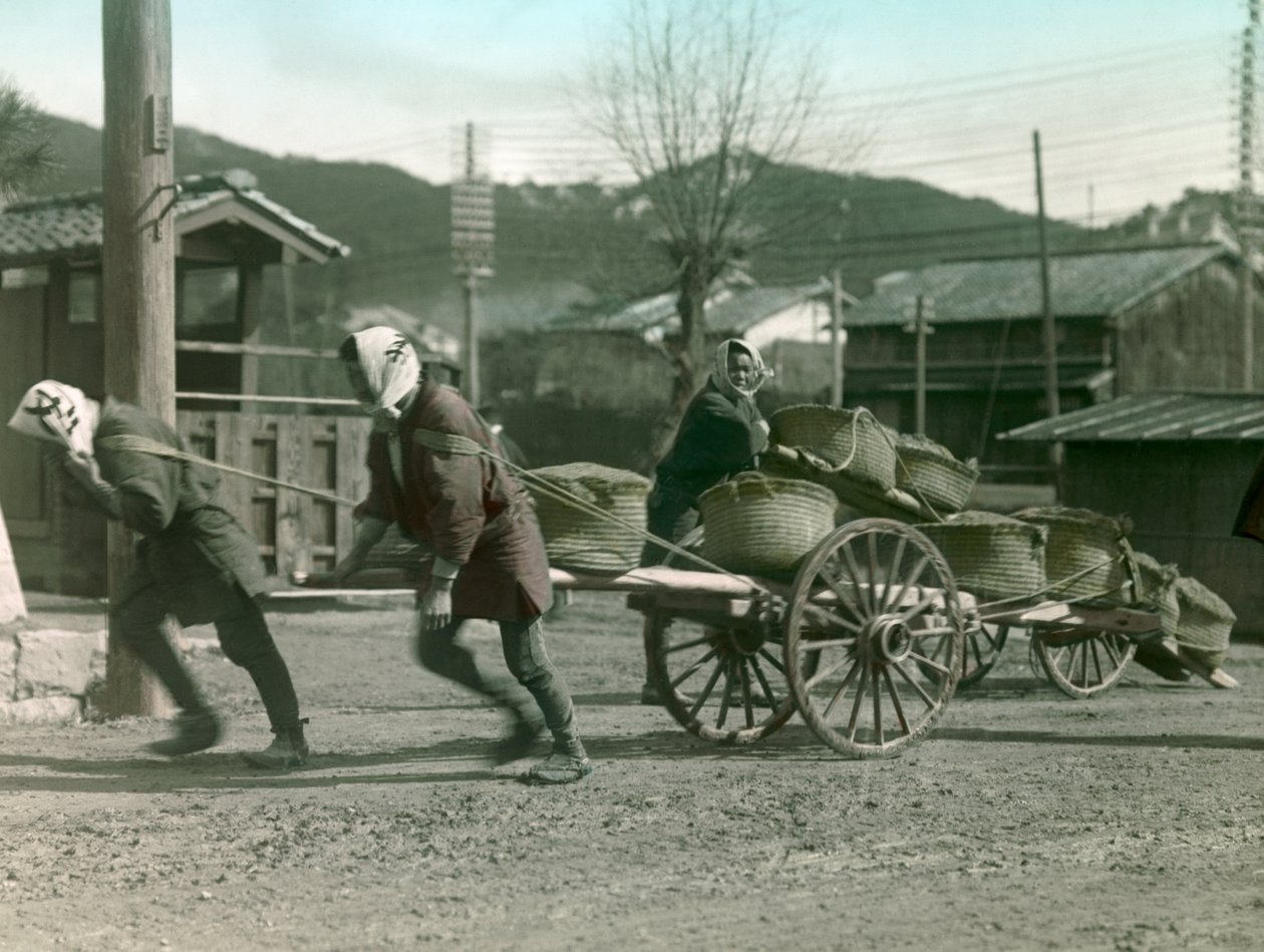 Japonští rolníci táhnou na voze pytle s rýží, asi 1900 - 1915 (fotografie) od Teijiro Takagi