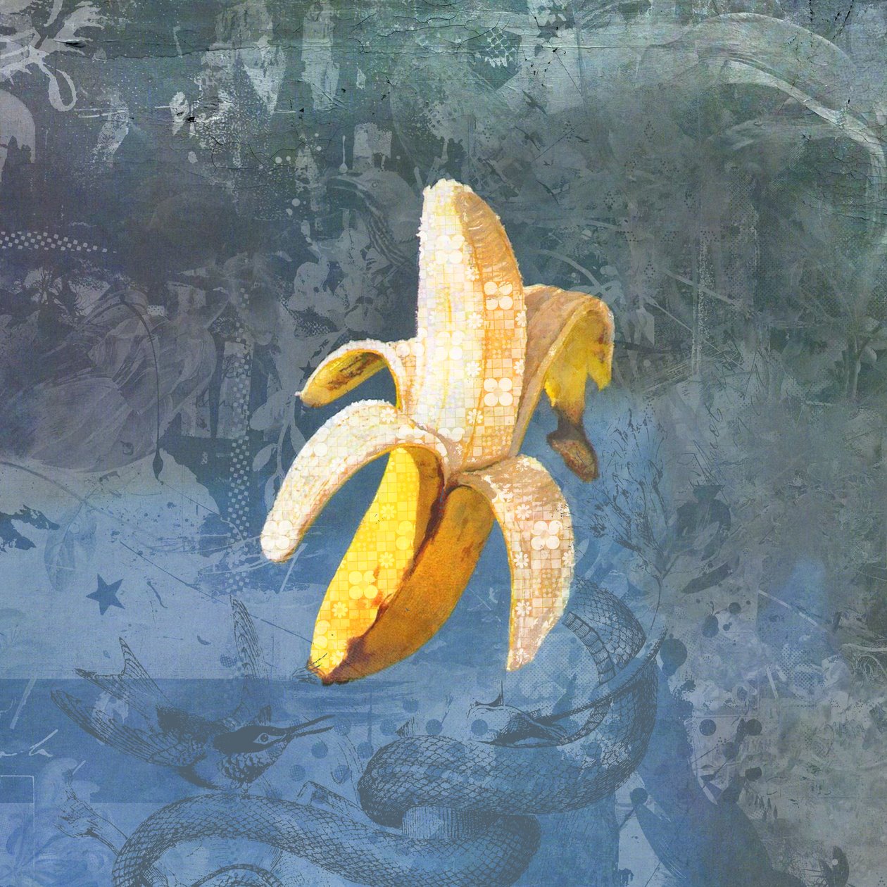 BANANAZ, 2015 (koláž na plátně) od Teis Albers