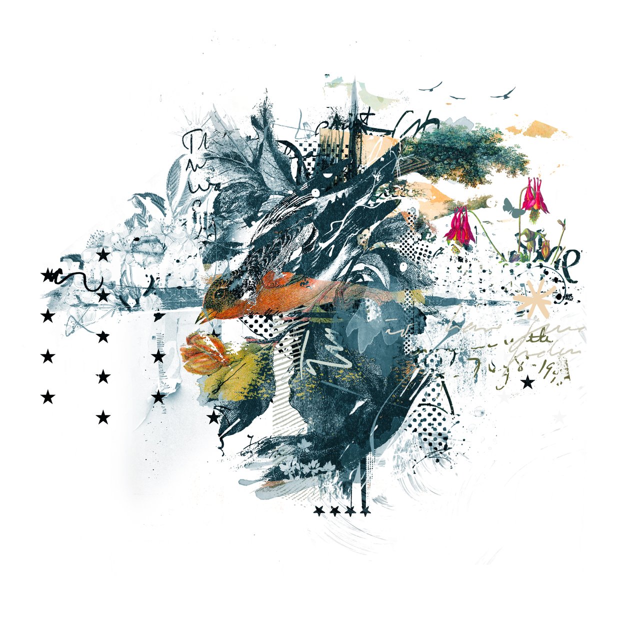 Bird of Prey, 2015 (koláž na plátně) od Teis Albers