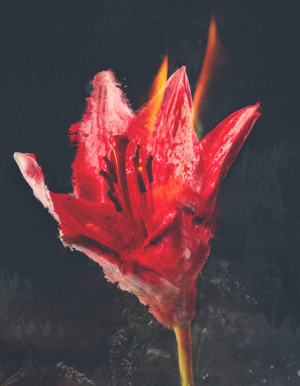 Combust, 2019 (kombinovaná média na plátně) od Teis Albers