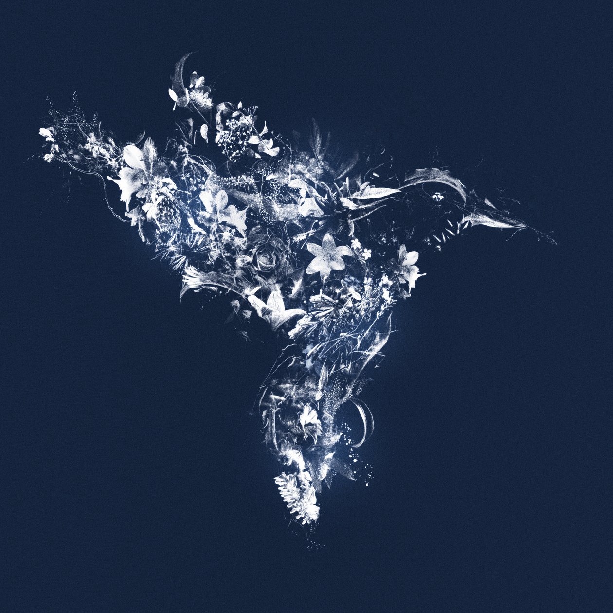 Floralbird, 2019 (kombinovaná média na plátně) od Teis Albers