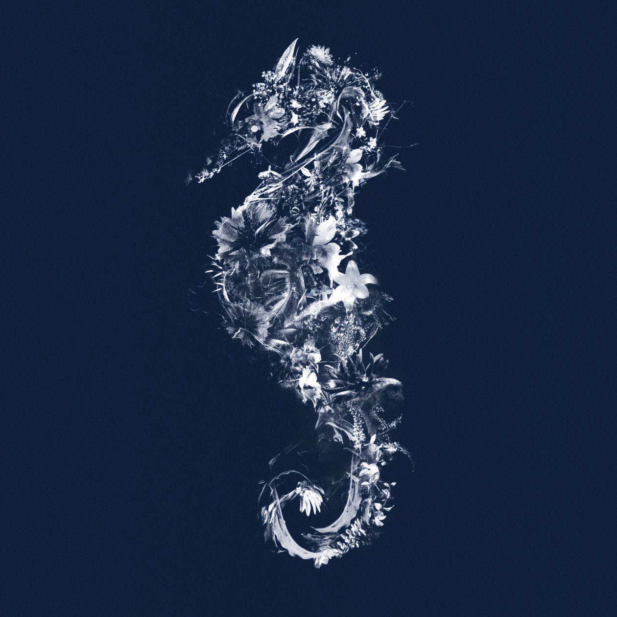 Floralseahorse, 2019 (kombinovaná média na plátně) od Teis Albers