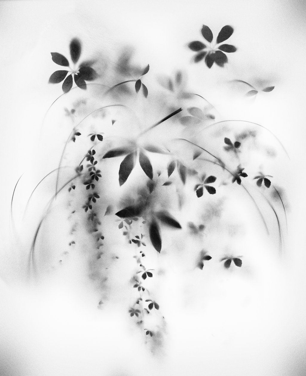 Natural Veil, 2018 (kombinovaná média na plátně) od Teis Albers