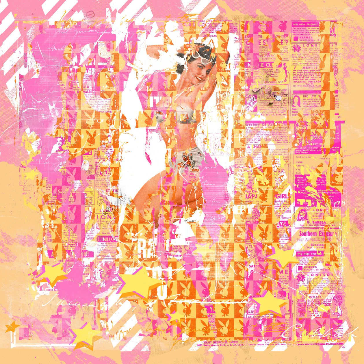 Pinup2, 2014 (kombinovaná média na plátně) od Teis Albers