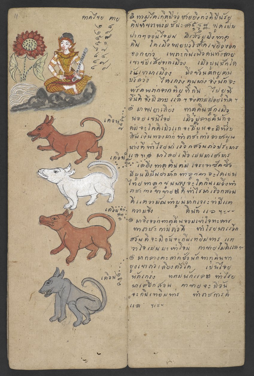 Nebo 16455 f.11r, Zvířata ze zvěrokruhu, z Phrommachatu (pergamen) od Thai School