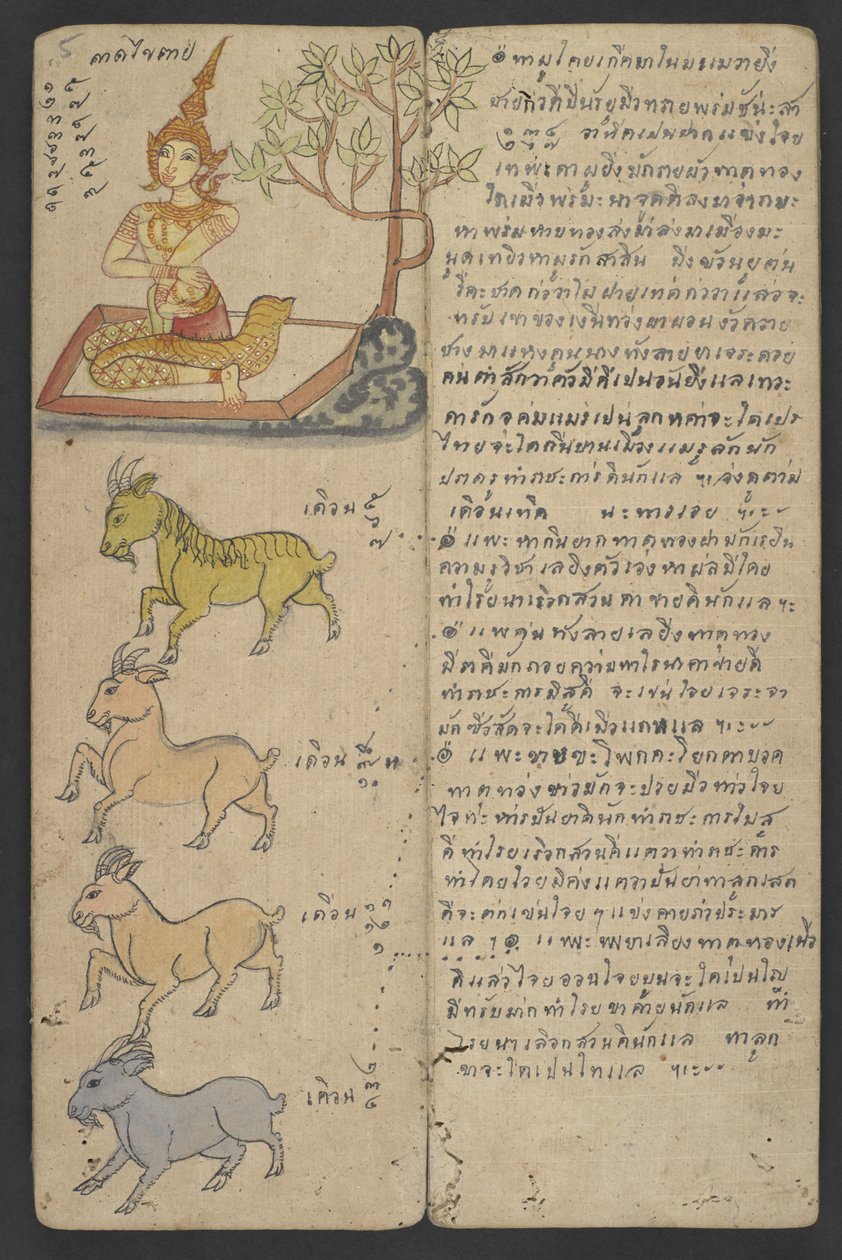 Nebo 16455 f.5r, Zvířata ze zvěrokruhu, z Phrommachatu (pergamen) od Thai School