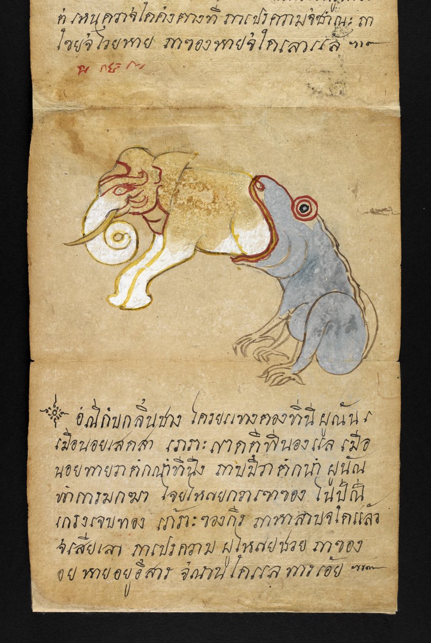 Nebo. 16482, f.12 Žába pojídá slona, z 