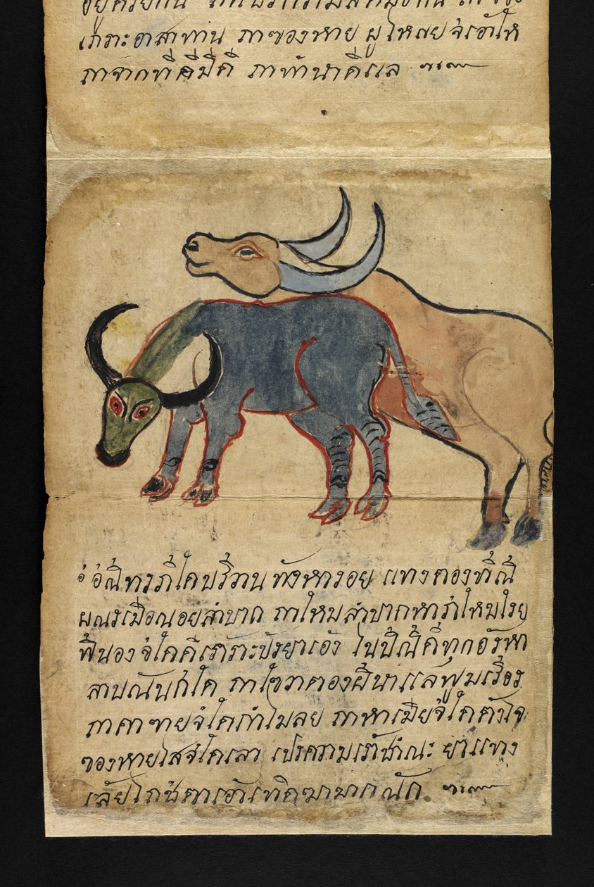 Nebo. 16482, f.15 