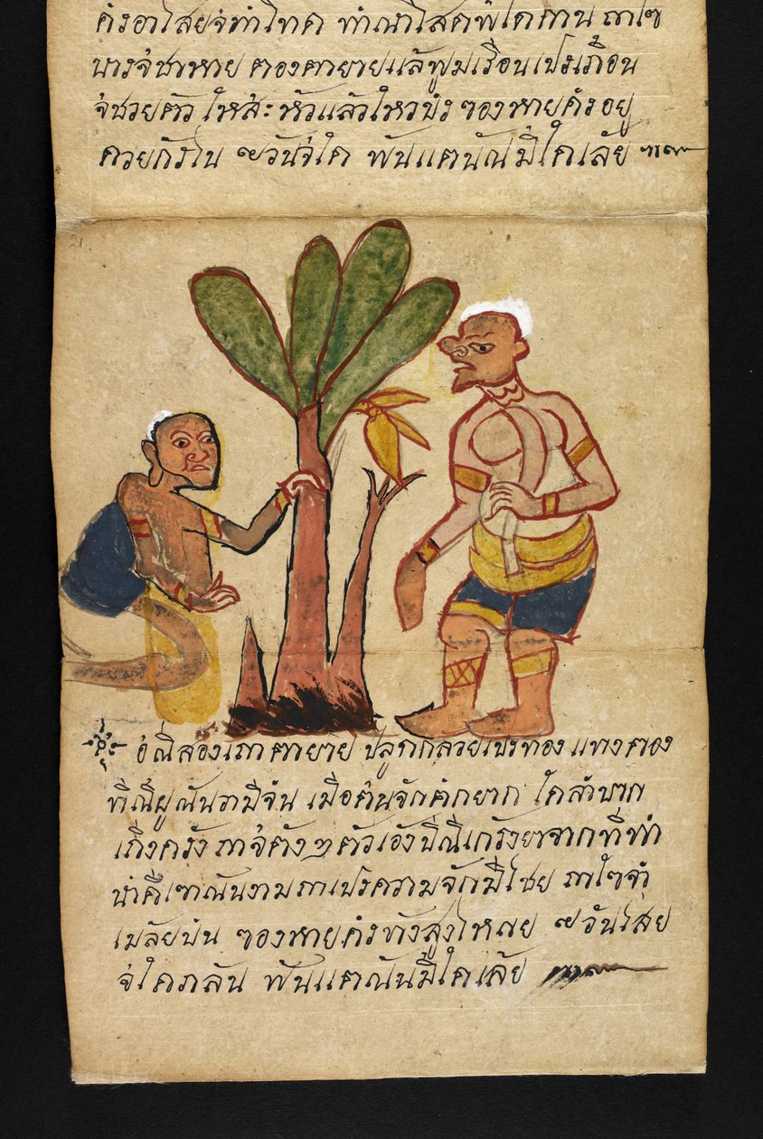 Nebo. 16482, f.21 