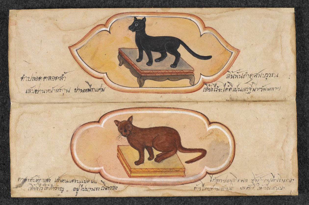 Siamské kočky, Fol. 1: dvě šťastné kočky na podporu podnikání a hromadění bohatství, Or. 16797, f.1 (pergamen) od Thai School