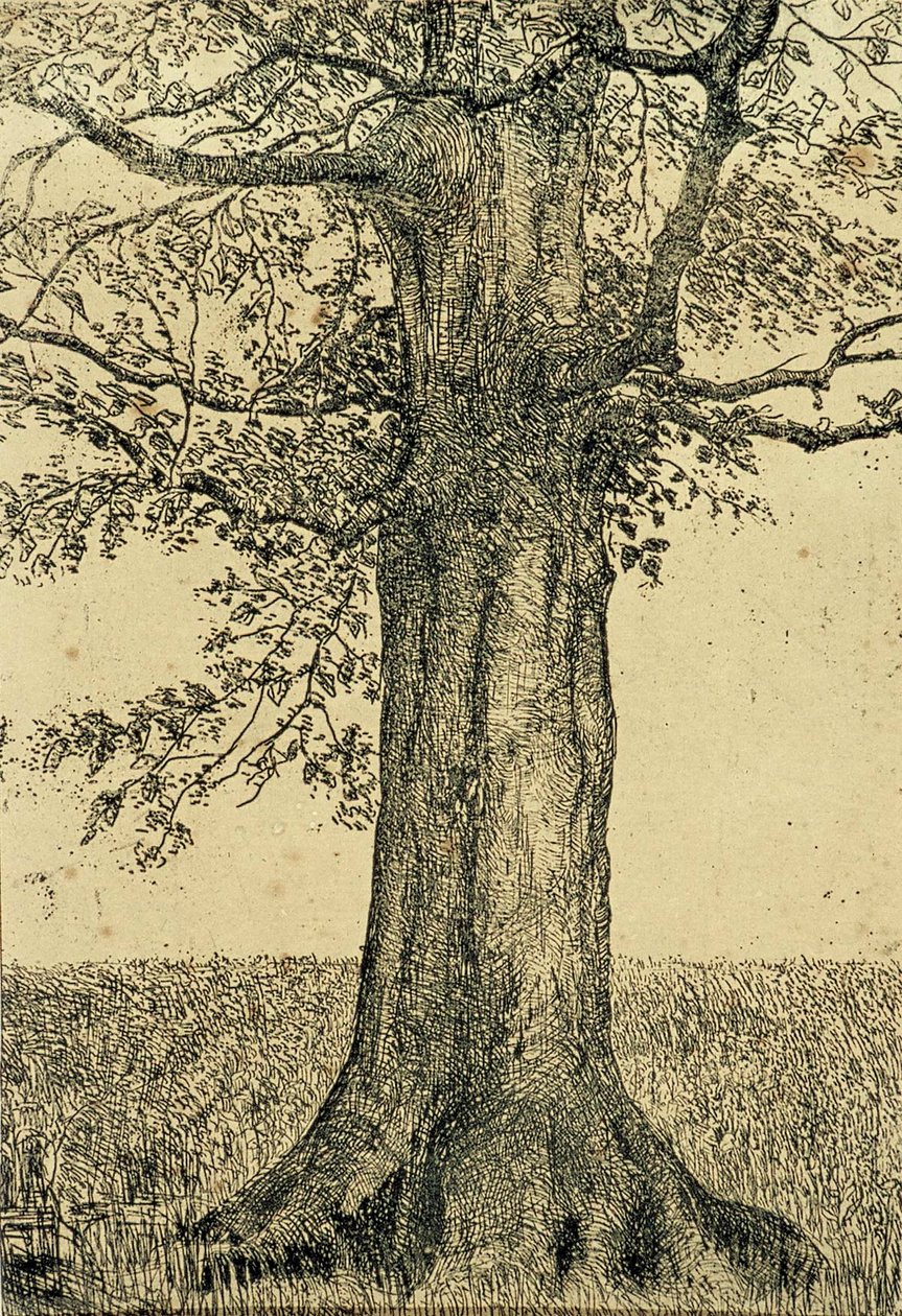 Strom od Theo van Doesburg