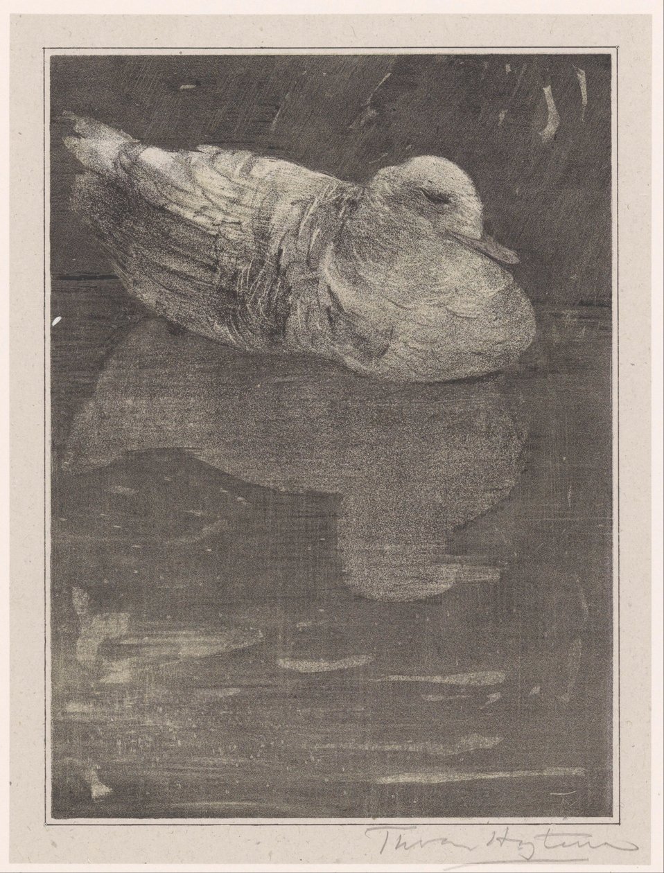 plovoucí kachna od Theo van Hoytema (signed by artist)
