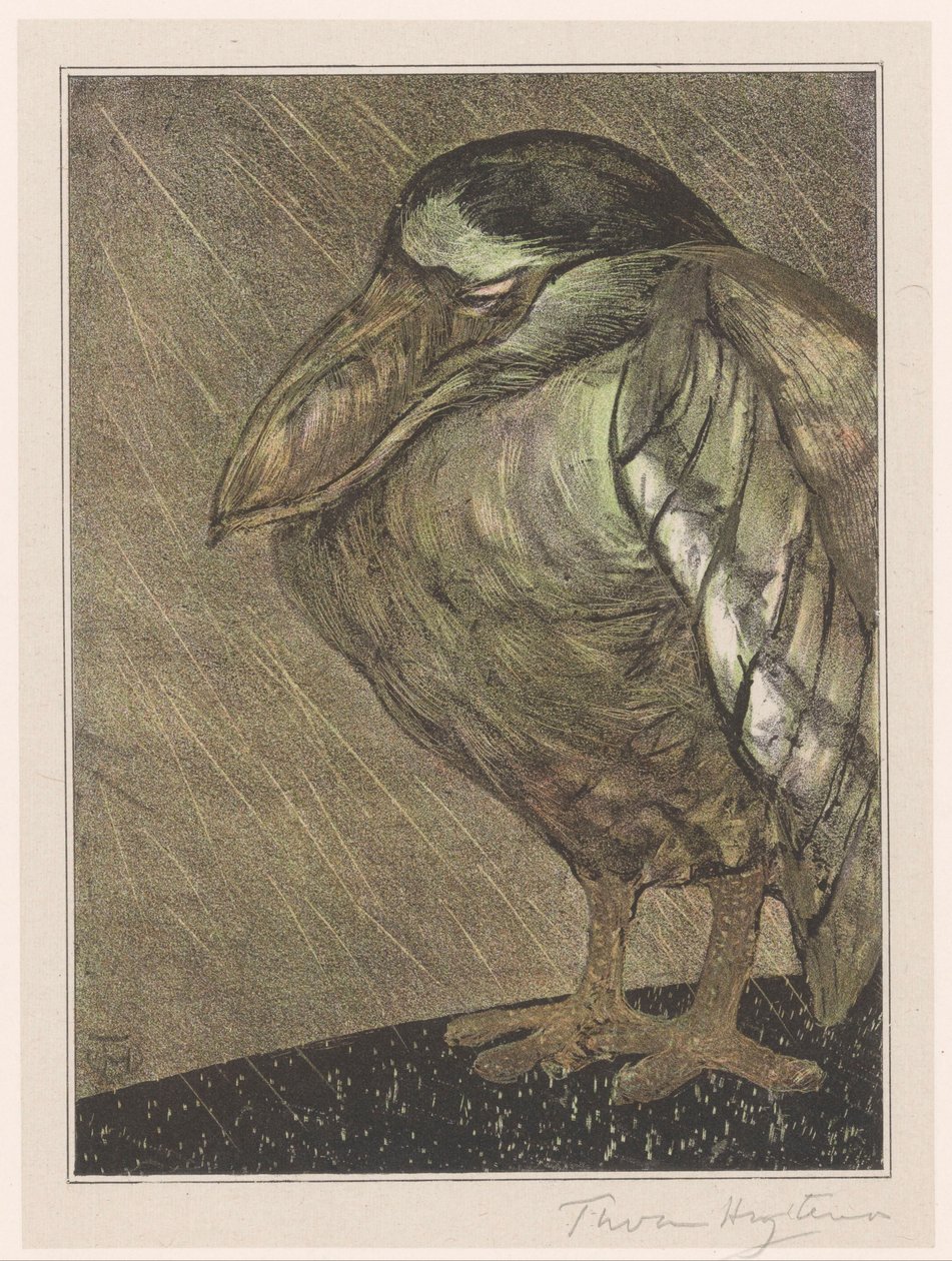 Lodní volavka v dešti od Theo van Hoytema (signed by artist)
