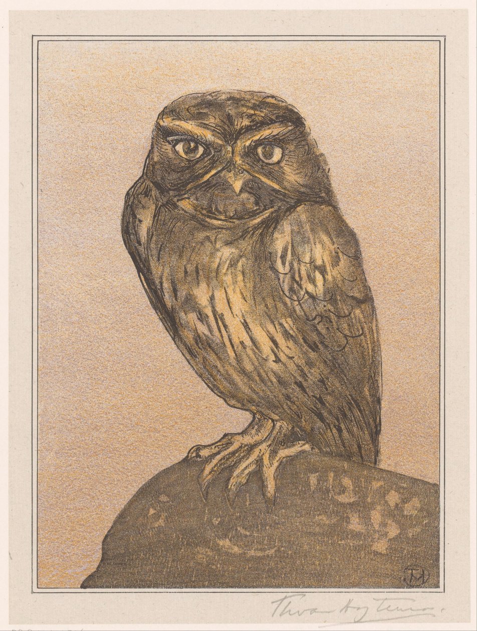 Malá sova na skále od Theo van Hoytema (signed by artist)