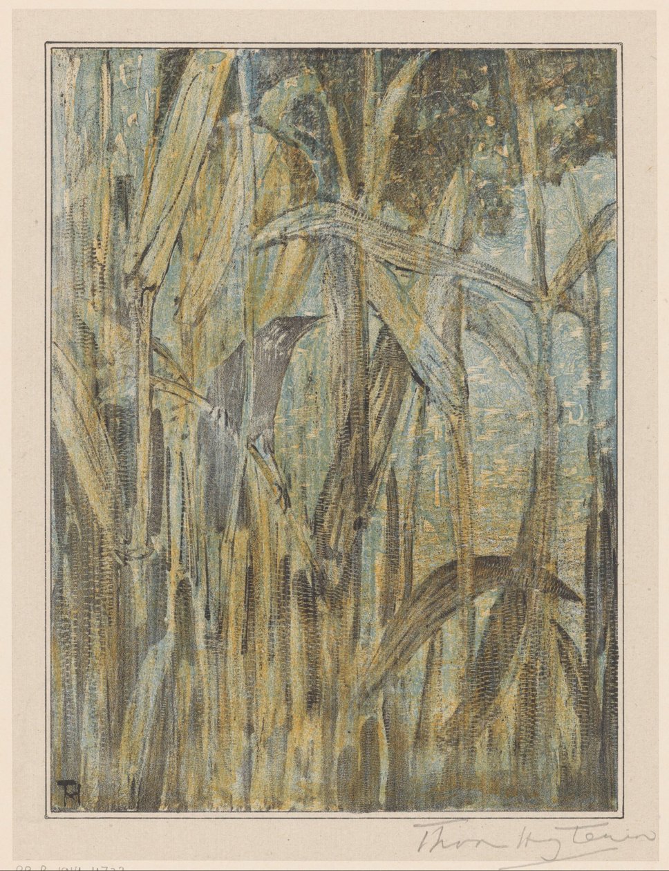 Pták v rákosí od Theo van Hoytema (signed by artist)