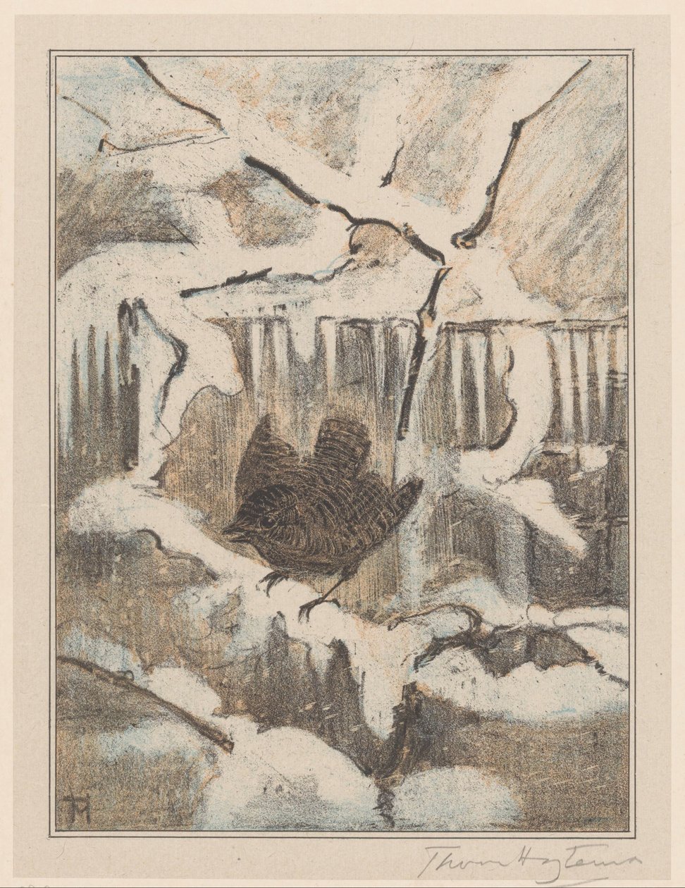 Střízlík na zasněžené větvi od Theo van Hoytema (signed by artist)