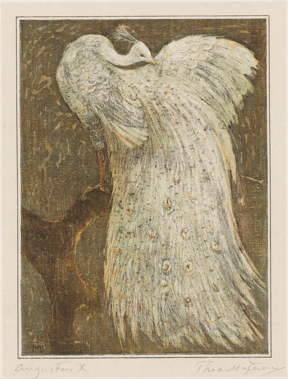 Bílý páv na větvi od Theo van Hoytema (signed by artist)