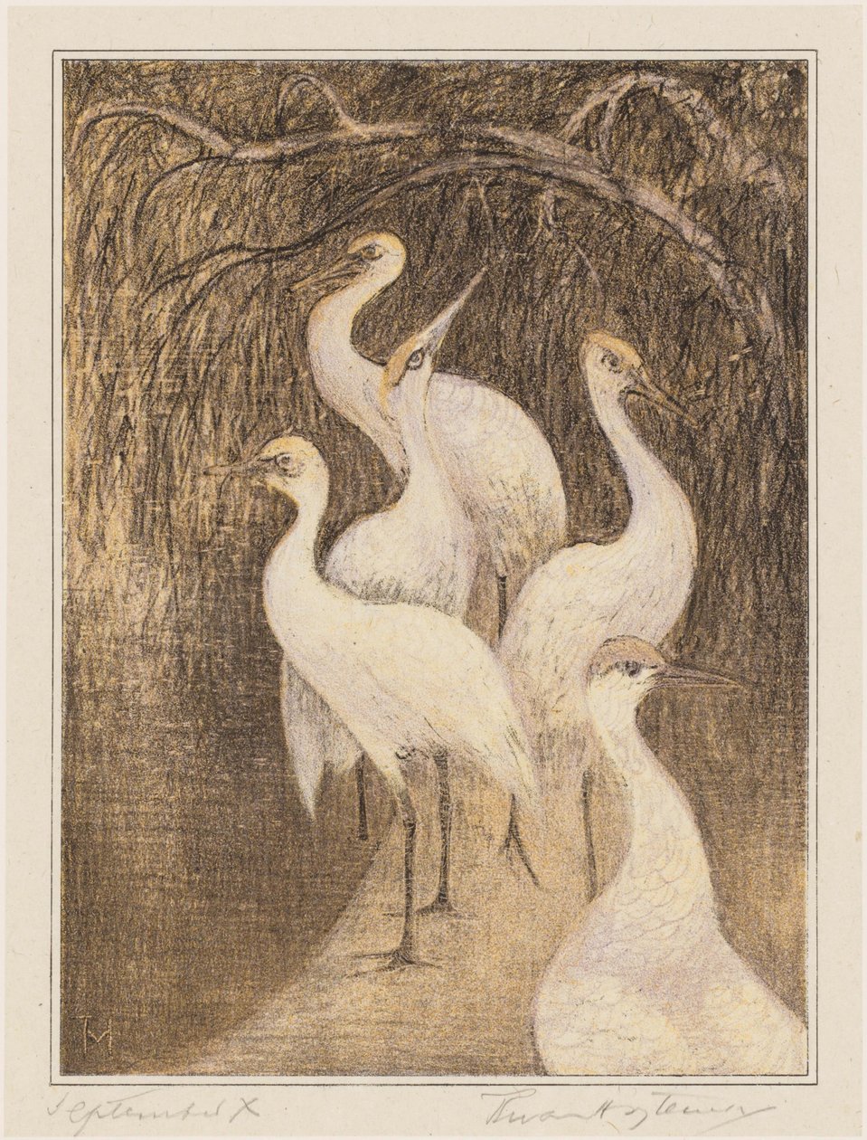 Šest jeřábů na nábřeží od Theo van Hoytema (signed by artist)
