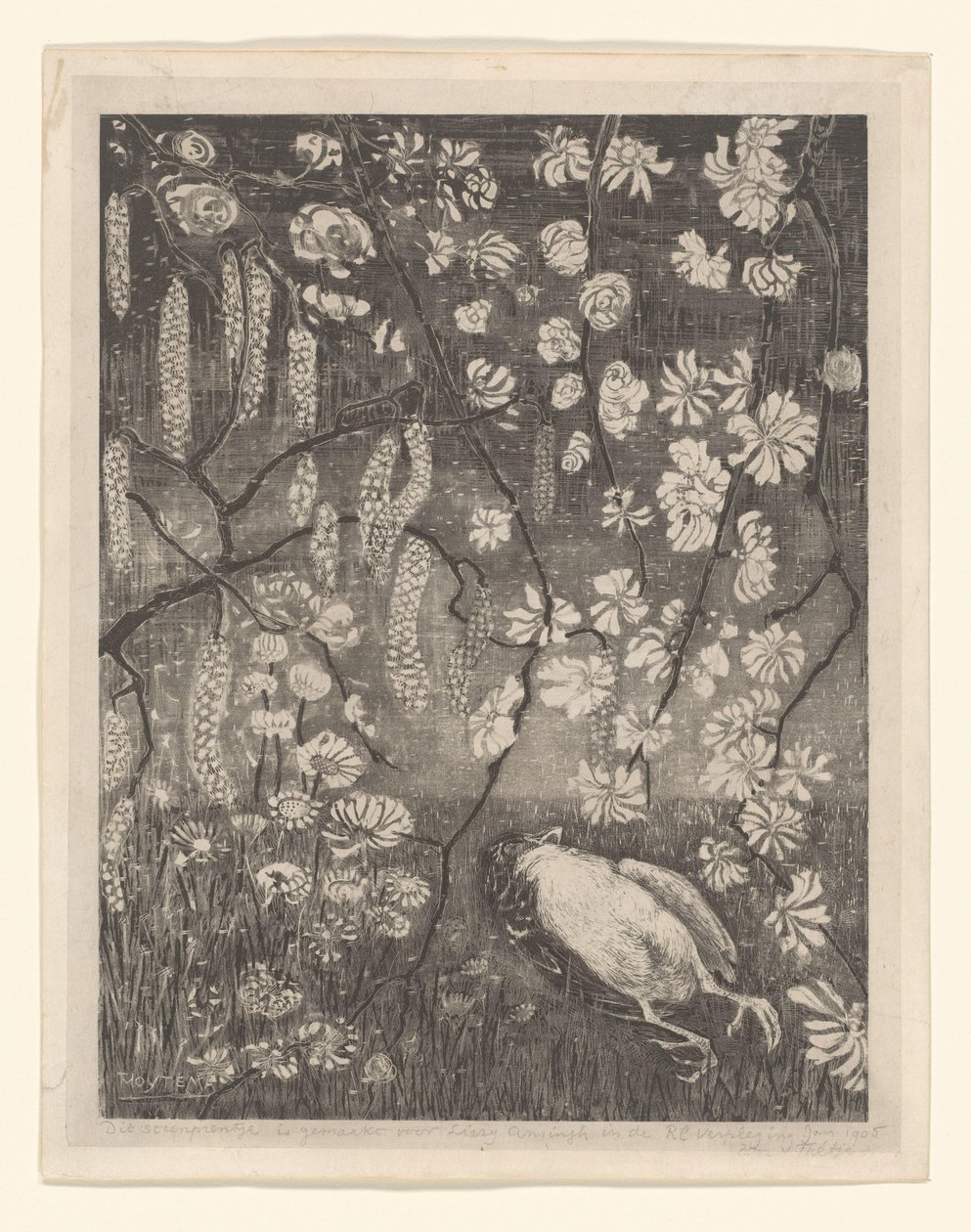 Mrtvý pták pod větvemi lísky a zimolezu Flower Studies (původní název) od Theo van Hoytema