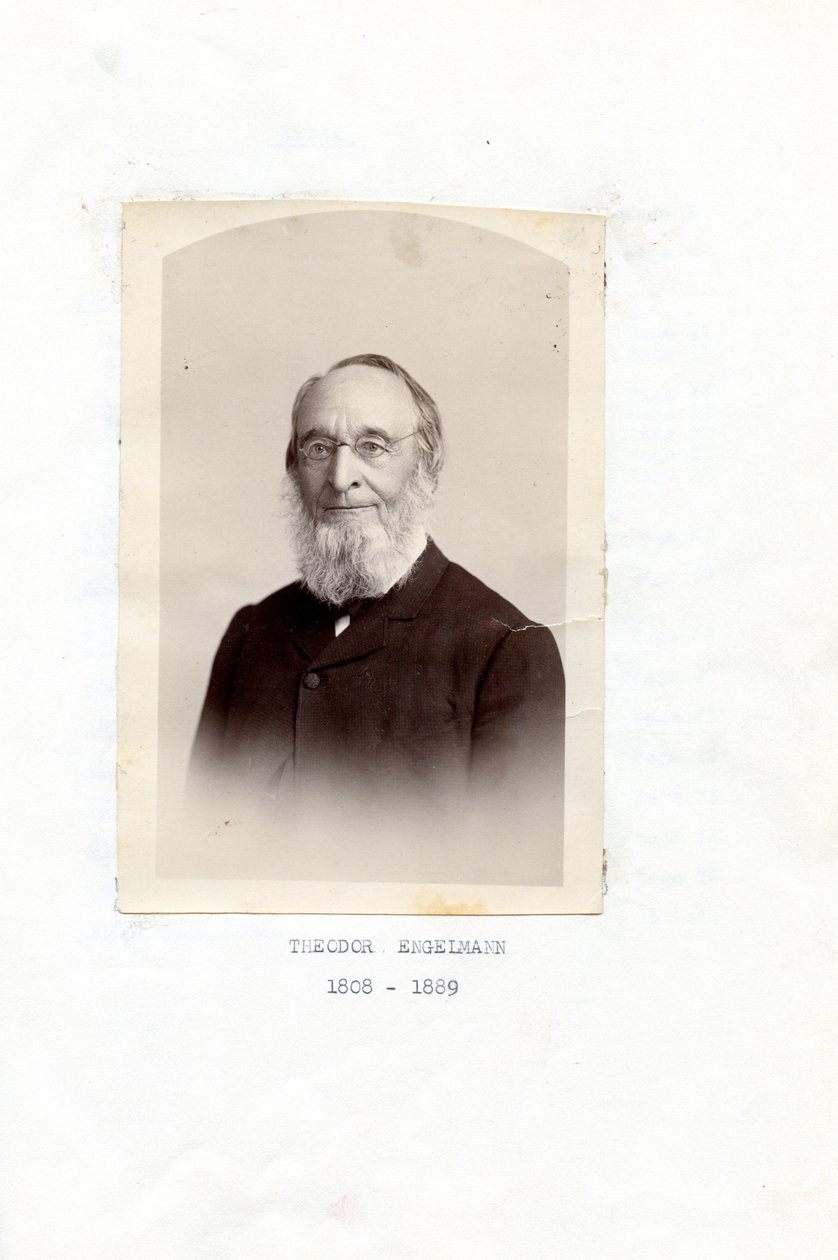Vzpomínky Theodora Engelmanna od Theodor Engelmann