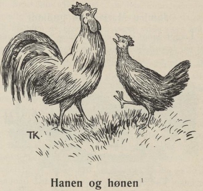Kohout a slepice od Theodor Kittelsen