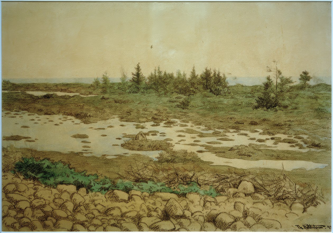 Valící se kameny, voda a keře od Theodor Kittelsen