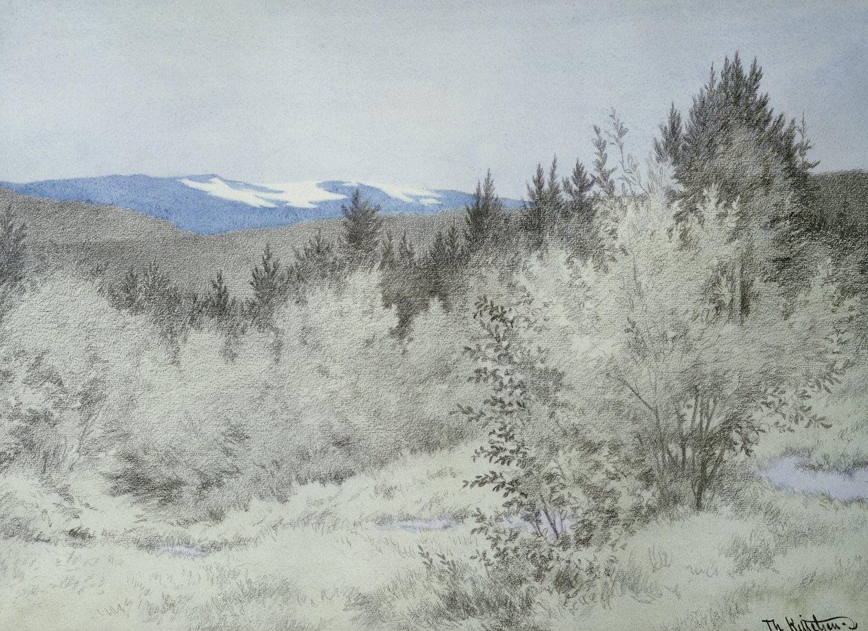 Daleko daleko v lese od Theodor Kittelsen