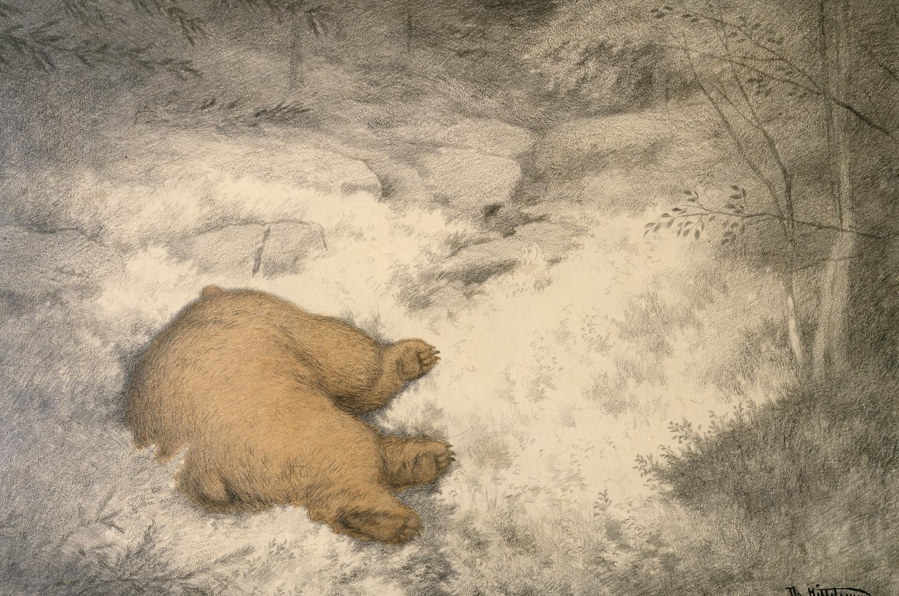 Medvěd spí v borůvkovém vřesu od Theodor Severin Kittelsen
