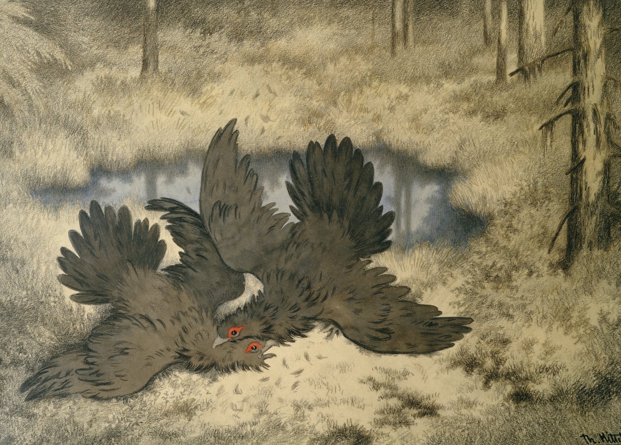 Ptačí trol tam bojuje od Theodor Kittelsen