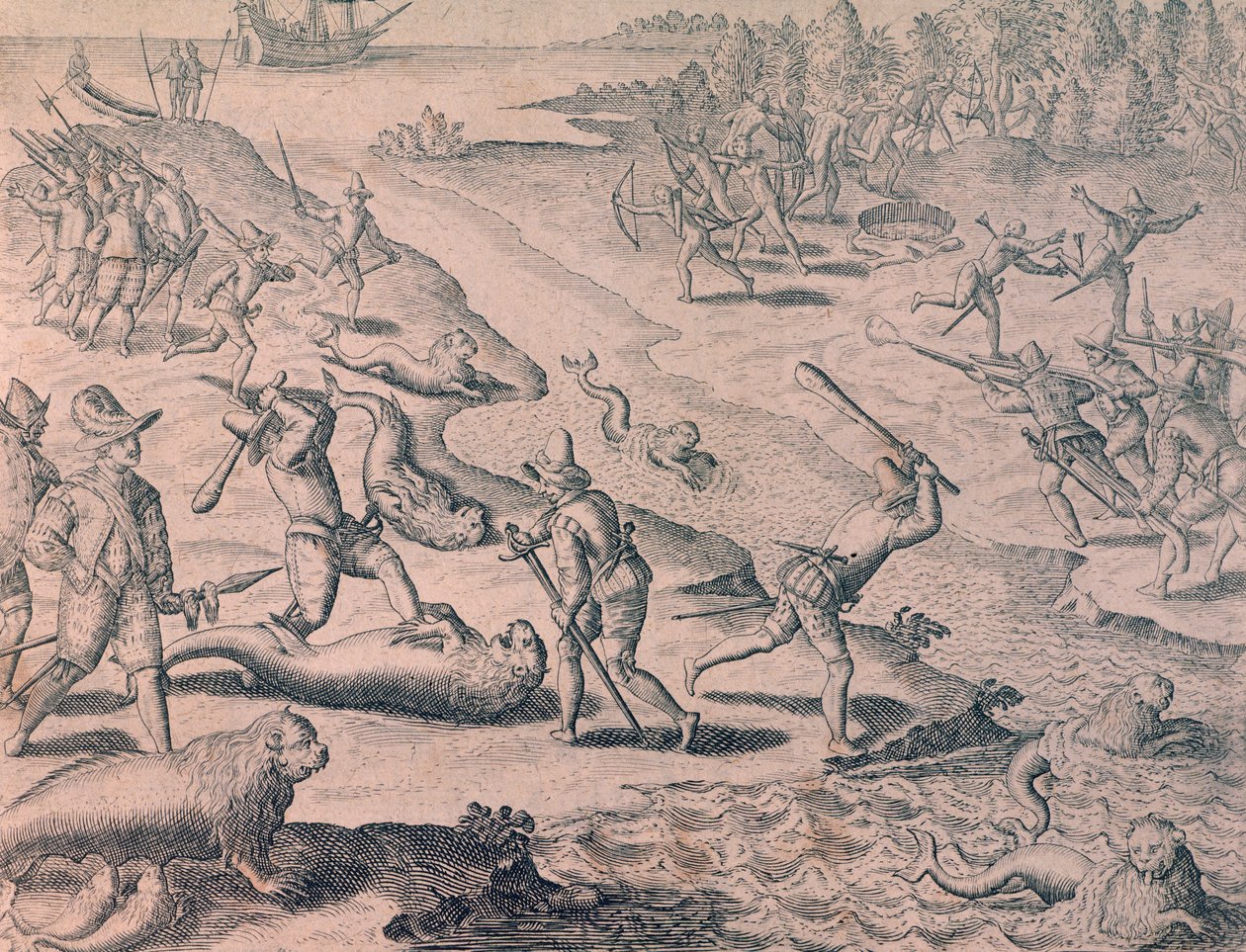 Zabíjení lachtanů průzkumníky od Theodor de Bry
