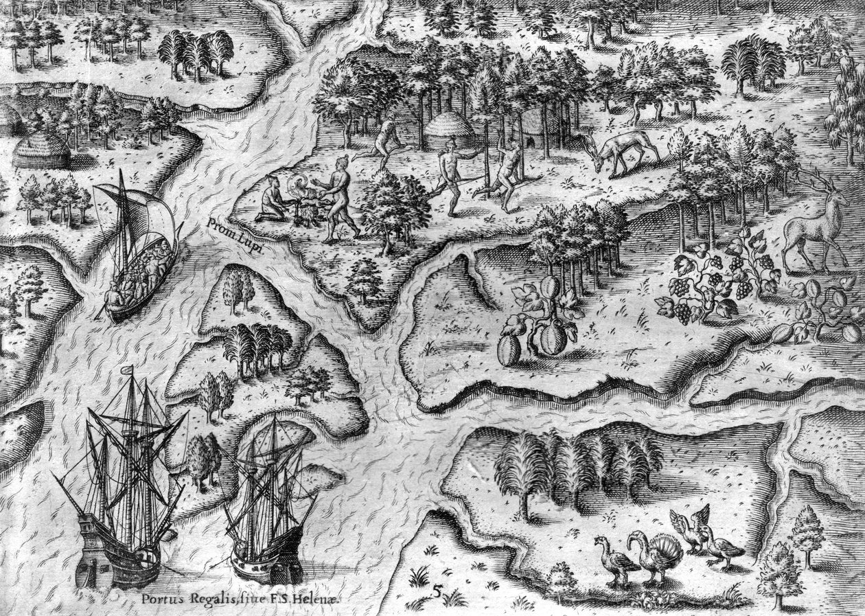 Francouzská výprava přistává v Port Royal na Floridě od Theodor de Bry