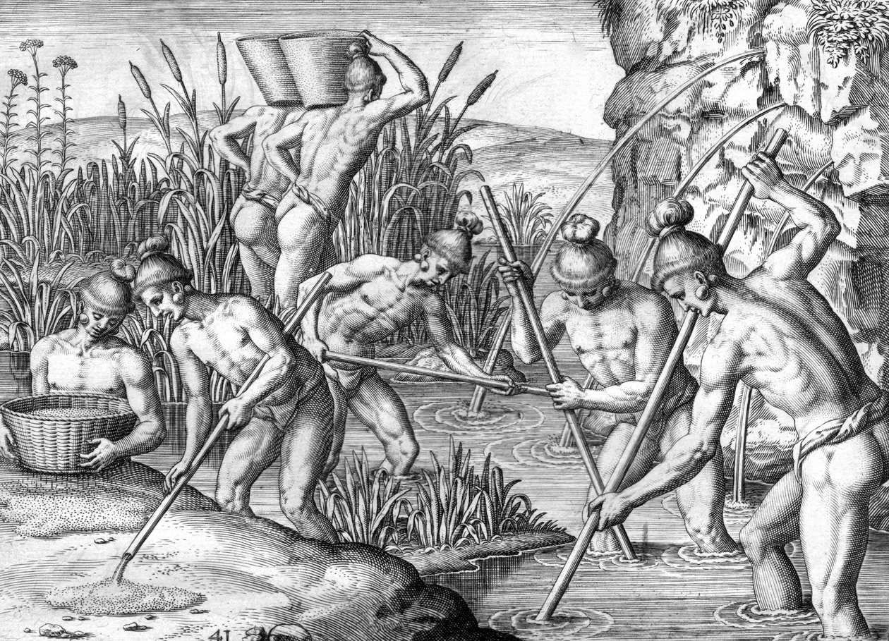 Indián Timucua sbírá zlato od Theodor de Bry