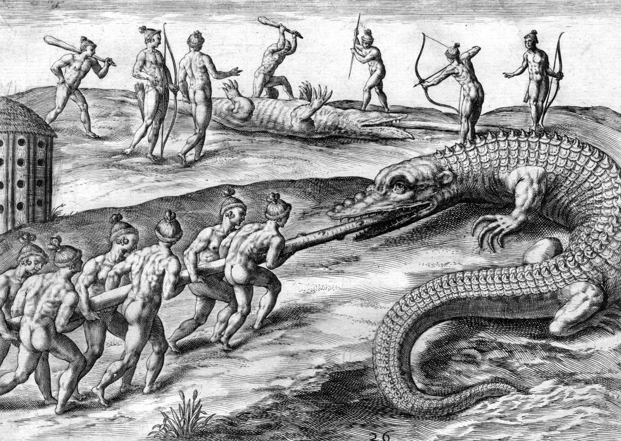 Timucuanští indiáni loví aligátora od Theodor de Bry