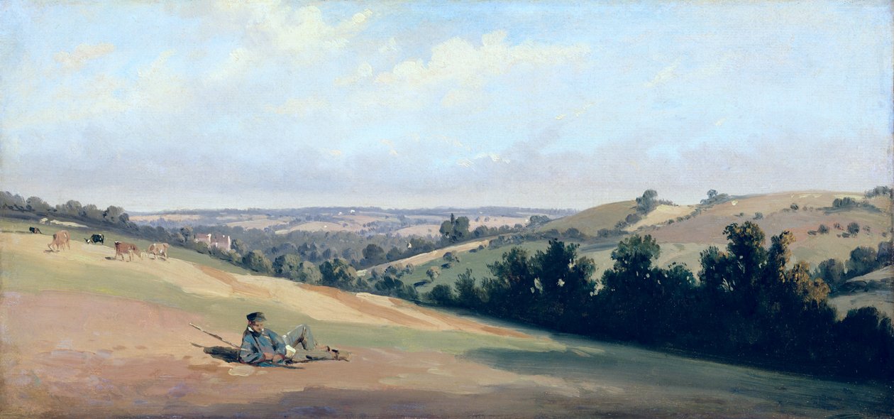 Young Man Reclining on the Downs, c.1833-35 (olej na papíře) od Theodore Caruelle d Aligny