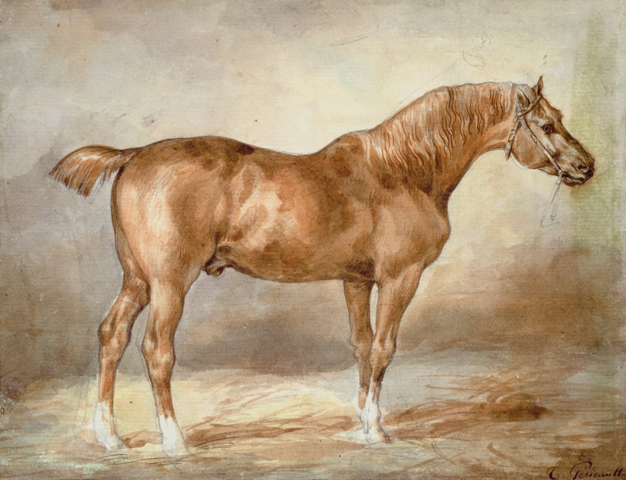 Kupírovaný ryzák od Theodore Gericault