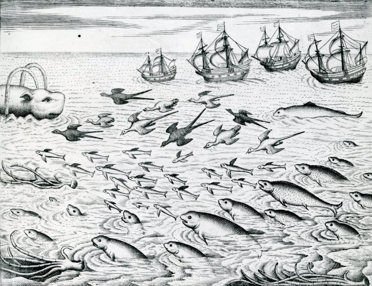 Přímořská krajina, ilustrace z 