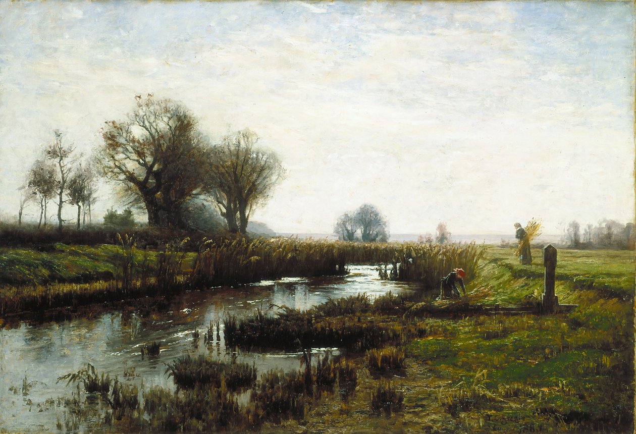 Pozdní odpoledne, Dachau Moor (olej na plátně) od Theodore Clement Steele