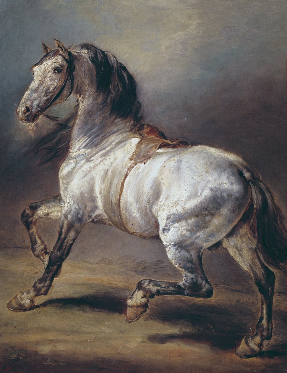 Studie koně od Theodore Gericault