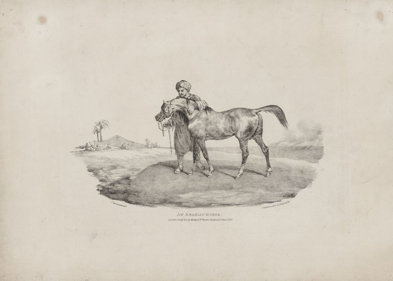 Arabský kůň od Theodore Gericault