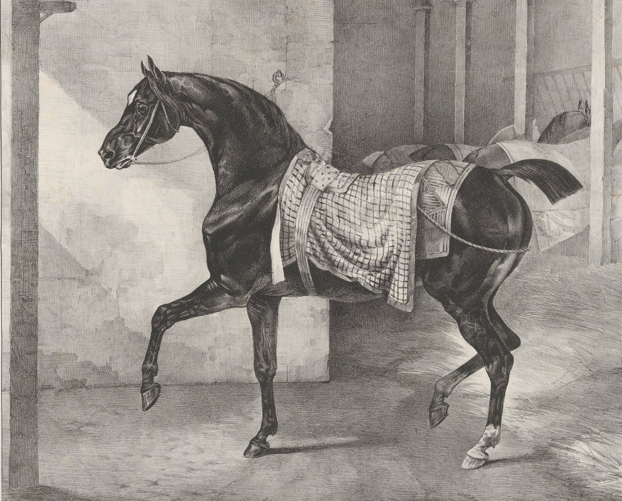 Černý kůň uvázaný ve stáji, 1822. od Theodore Gericault