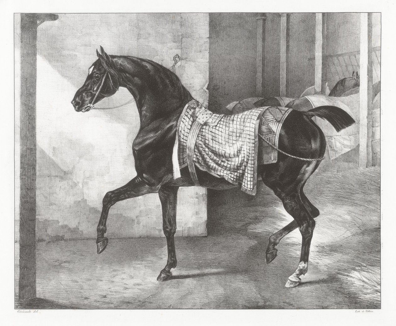 Černý kůň přivázaný ve stáji (A Black Horse Tethered in a Stable) od Theodore Gericault