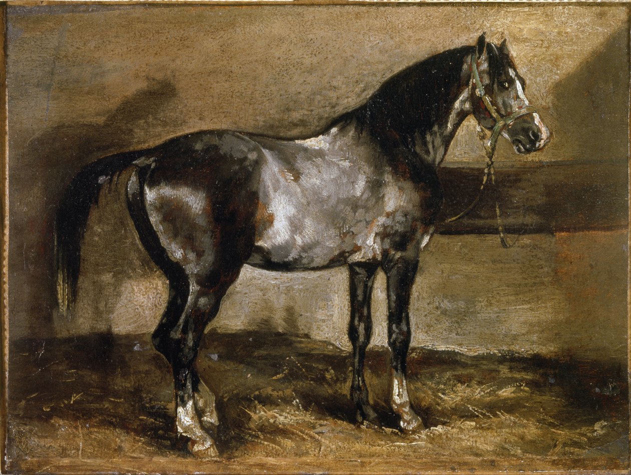 Grey Horse at the Ratelier - olej na plátně od Theodore Gericault