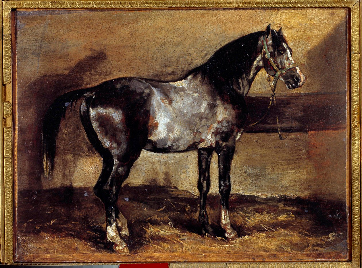 Grey Horse at the Ratelier Painting by Theodore Gericault (1791-1824) Sun 19. století. 0,26x0,34 m od Theodore Gericault