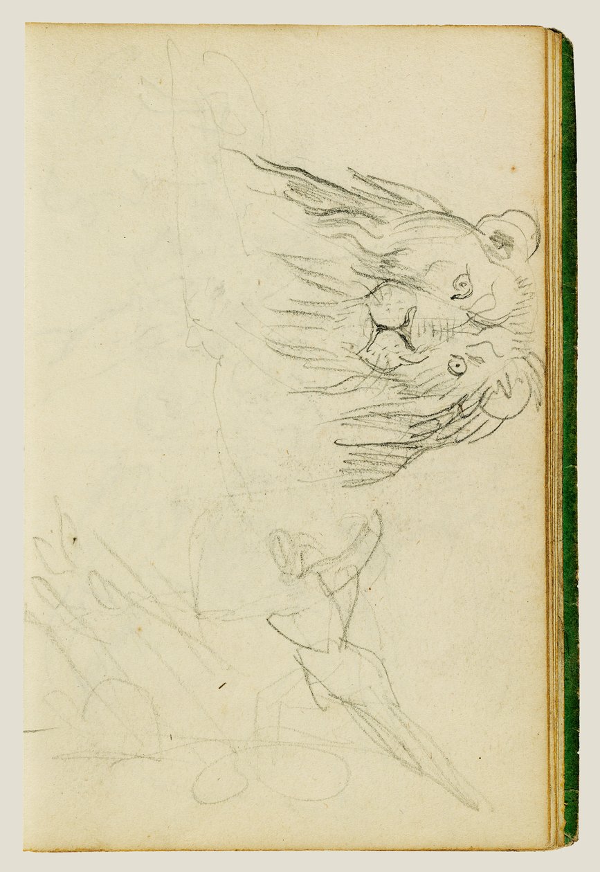 Pohled shora na sedícího lva od Theodore Gericault