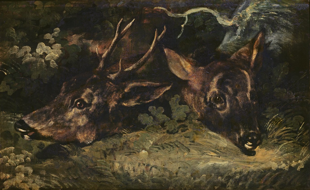 Heads of Roe Deer, 1815 od Theodore Gericault