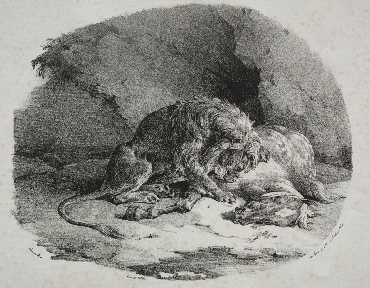 Kůň sežraný lvem od Theodore Gericault