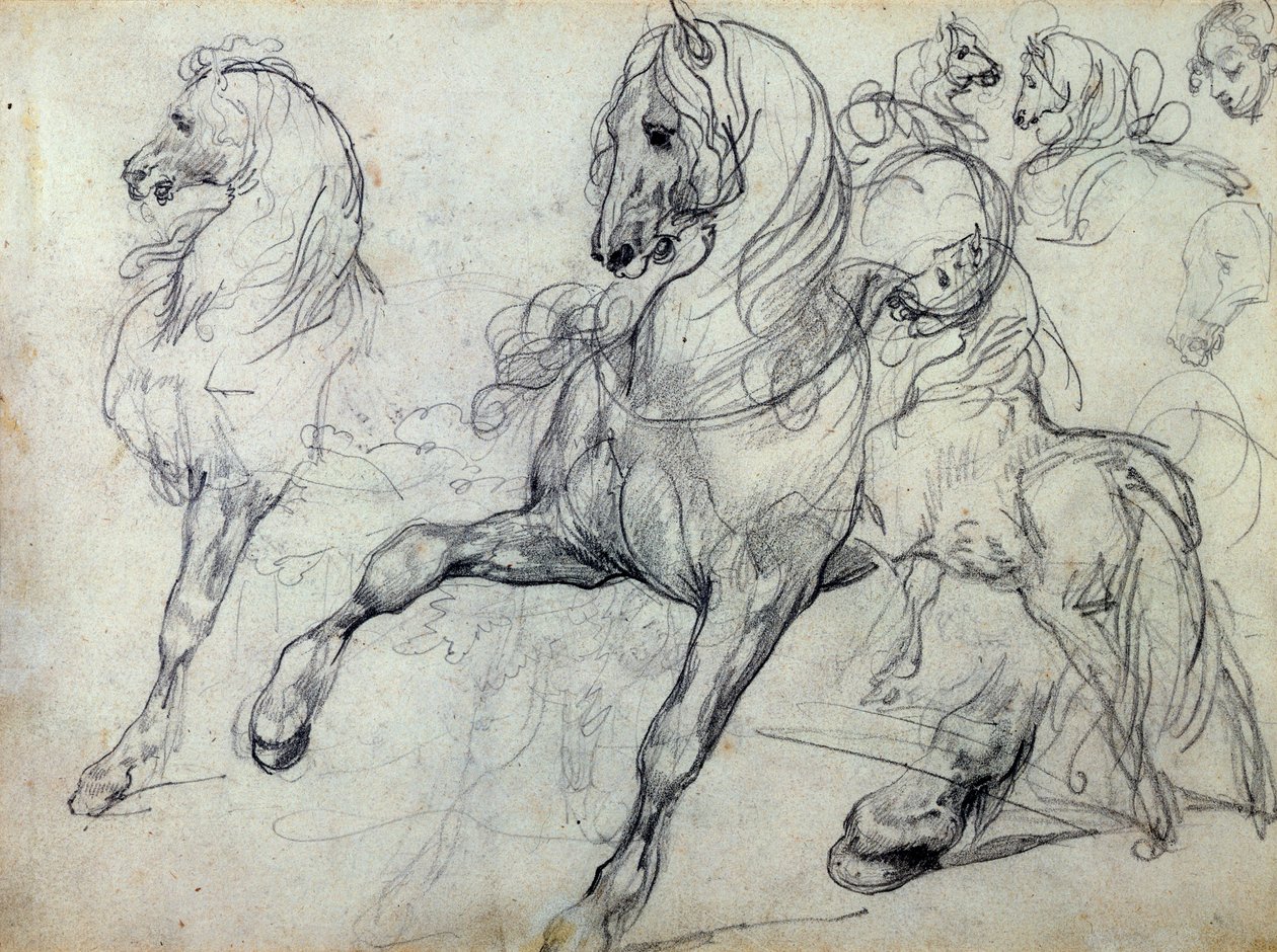 Koně od Theodore Gericault